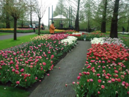 Keukenhof (64)